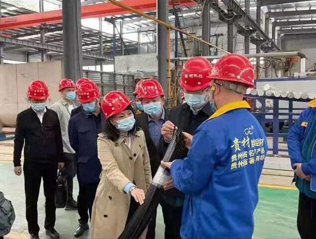 貴陽市常委、市工商聯(lián)、廣東總商會一行到我廠調(diào)研